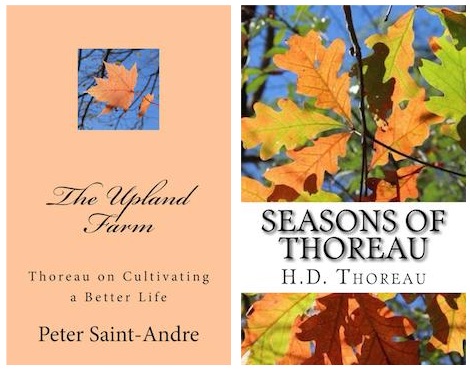 saint-andre-thoreau-covers